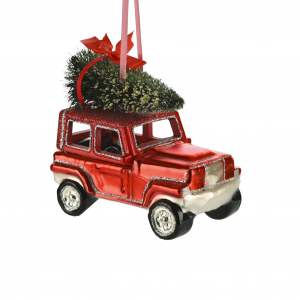 VOITURE AVEC SAPIN